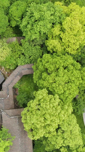 航拍苏州4A景区西山岛石工山景区旅游景点56秒视频