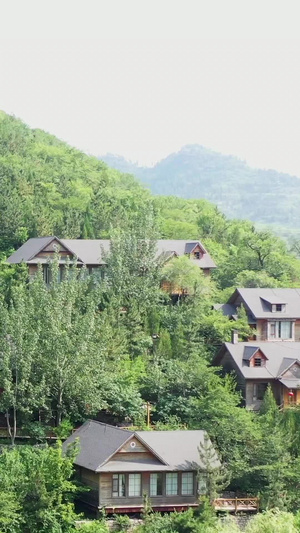 森林中的木屋别墅航拍视频自然风光33秒视频