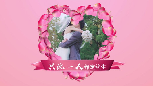 桃花爱心花瓣组合结婚片头AE模板视频