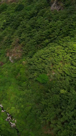 峡谷缆车索道森林航拍大理索道18秒视频