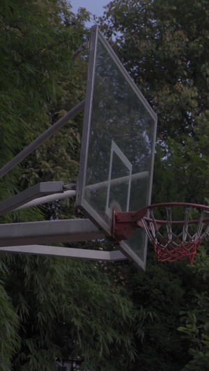 篮球比赛带球上篮15秒视频