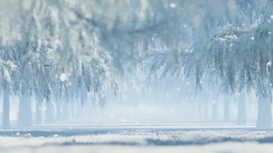 唯美雪松背景视频