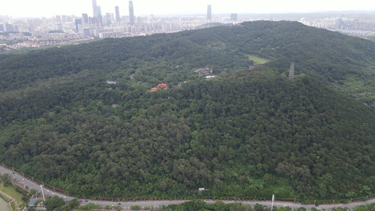 广西南宁青秀山5A景区视频