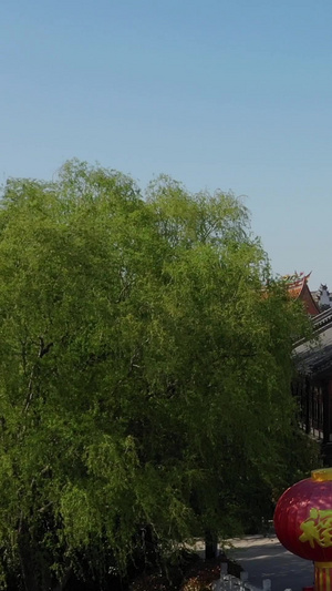 山东5A景区台儿庄船型街航拍视频风景名胜43秒视频