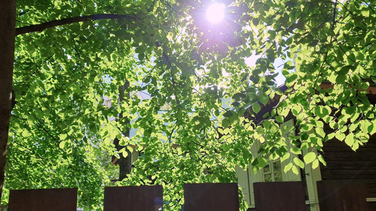 小木屋篱笆栅栏阳光透过树叶洒下来视频