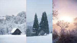 冬季冬天山村村庄雾凇山脚下皑皑白雪森林小屋9秒视频