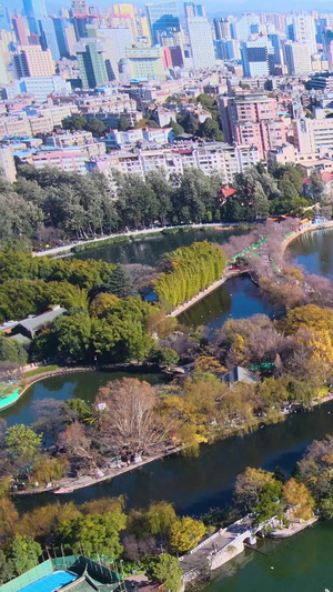 昆明城市翠湖公园人居环境海鸥风光航拍风景区53秒视频