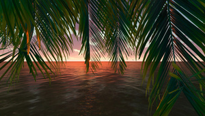 高清唯美黄昏椰子树20秒视频