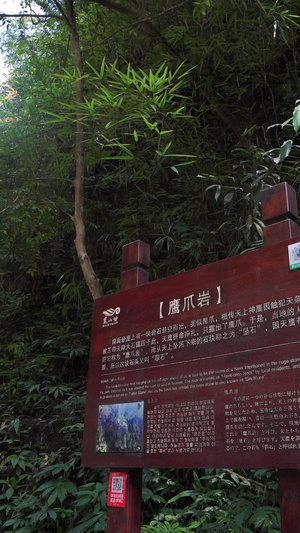 国家5A级旅游景区重庆黑山谷鹰爪岩鱼跳峡18秒视频