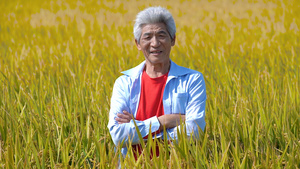 农民在水稻田里抱胸微笑形象25秒视频