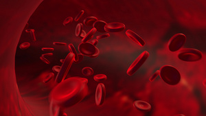 逼真的动画动脉中的红细胞在体内流动医疗人体保健红细胞19秒视频