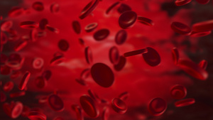 逼真的动画动脉中的红细胞在体内流动医疗人体保健红细胞24秒视频