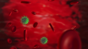 血液中的绿色逼真的动画动脉中的红细胞在体内流动24秒视频