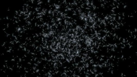 空间的抽象爆炸dandelion视频