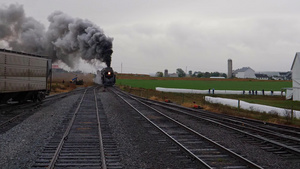看见一辆蒸汽机车将货物拖入院子里牛也观看着烟和蒸汽17秒视频