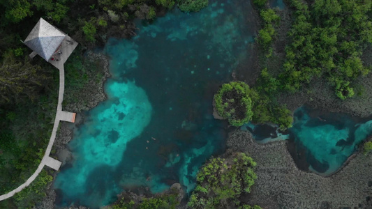 空中无人驾驶飞机的录像片段中自然保护区视频