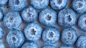 新鲜蓝莓水果13秒视频