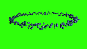 蓝莓水果圆环无缝环环绿屏幕染色体11秒视频