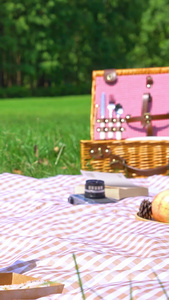 草地上的野餐垫旅游出行视频