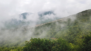 浓雾和雾雾进入山脊层层7秒视频