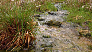 纯净的淡水一条溪流有清晰的水流从山到湖23秒视频