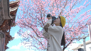 4K樱花树下拍照的少女16秒视频