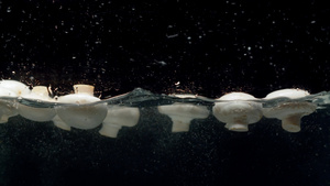 蘑菇掉入水中10秒视频