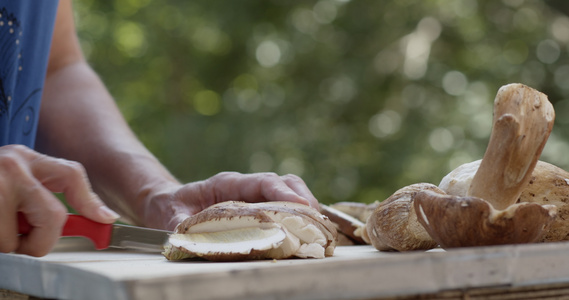 新鲜的猪肉肉饼桌上的薄荷面包蘑菇切成小块视频