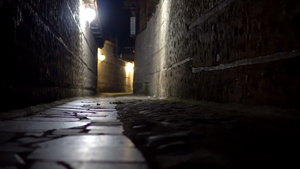在神秘的狭窄小巷里移动第一视角晚上带着石路灯22秒视频