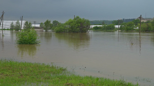 在暴雨和风暴造成洪水之后农田水流在农田的水道中30秒视频