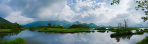 大九湖湿地旅游风景4秒视频