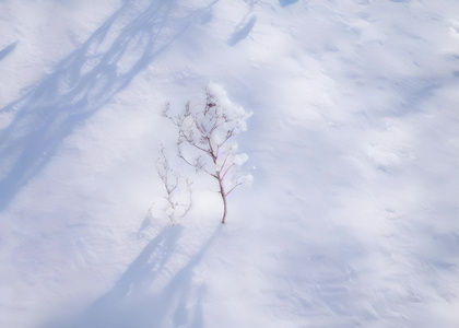 冬天雪地纹理素材视频