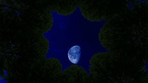 夜夜仰望天空在巨大的树丛之间21秒视频