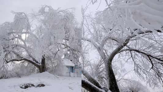 4K雾凇岛东北国冰雪树枝浪漫视频