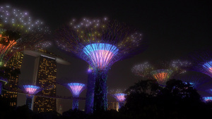 新加坡滨海湾花穹夜景28秒视频
