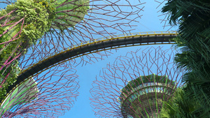 新加坡海湾花园31秒视频