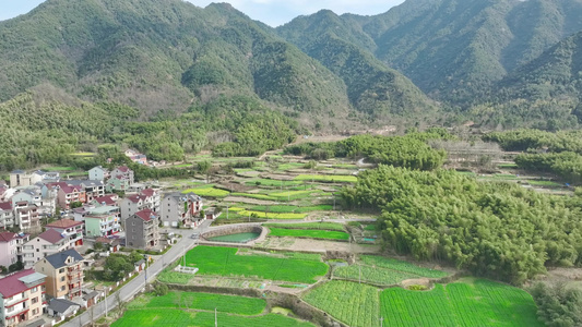 山区乡村油菜花地航拍视频