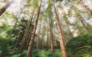 绿色植物树干森林结构自然4秒视频
