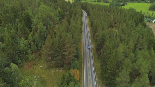蓝车在夏日的北南绿林中直径行驶空中观察无人驾驶飞机视频