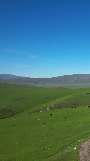 航拍群山山脉中穿行的独库公路视频新疆旅游64秒视频