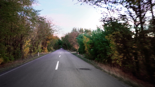 秋季在农村公路上用树道隧道进行快速体育运动视频
