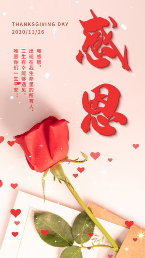 感恩节玫瑰花摄影图视频海报15秒视频