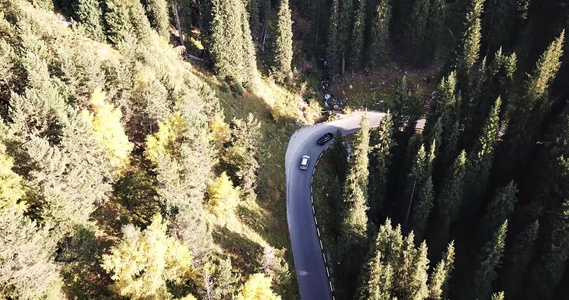 汽车在森林的一条路上行驶空中飞行视频