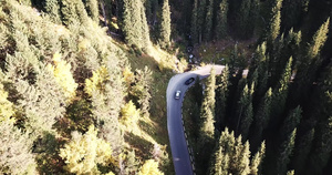 汽车在森林的一条路上行驶空中飞行12秒视频
