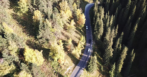 汽车在森林的一条路上行驶空中飞行8秒视频