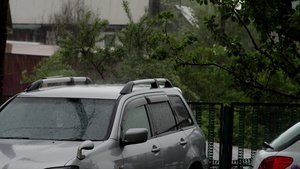 车在雨中16秒视频