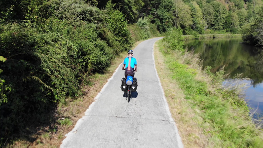 骑自行车的人从后面在铺好的路上穿过森林在欧洲比利时视频