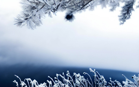 庐山冰雪摄影图片视频