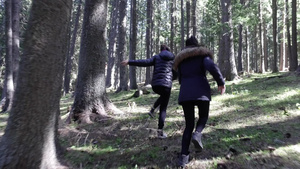 在茂密的松树林中追赶两个女孩12秒视频