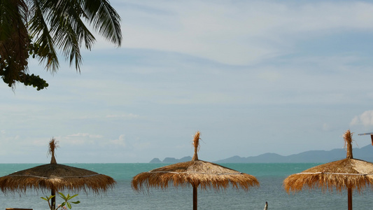 海背景上的遮阳伞从稻草和棕榈树的太阳伞在海洋和天空视频